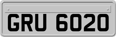 GRU6020
