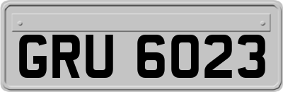 GRU6023