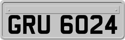 GRU6024