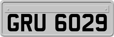GRU6029