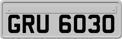 GRU6030