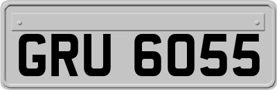 GRU6055