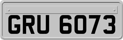 GRU6073