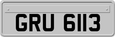 GRU6113