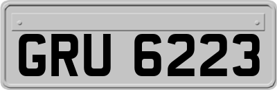GRU6223