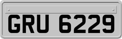 GRU6229