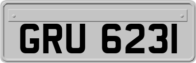 GRU6231