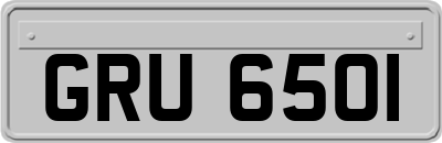 GRU6501
