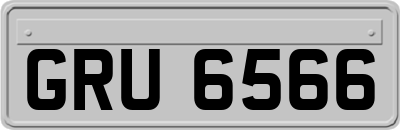 GRU6566