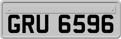 GRU6596