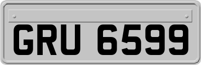 GRU6599