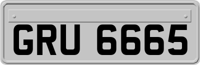 GRU6665