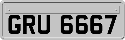 GRU6667