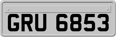 GRU6853
