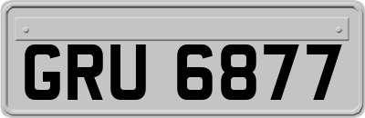 GRU6877