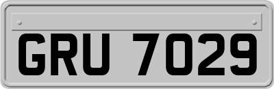 GRU7029