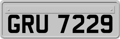 GRU7229