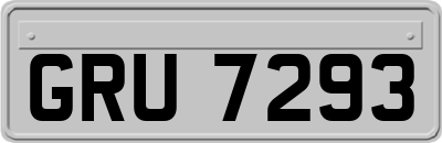 GRU7293