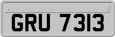 GRU7313