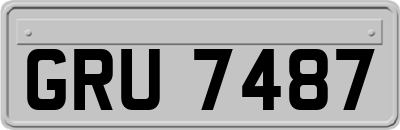 GRU7487