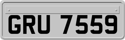 GRU7559