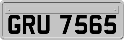 GRU7565