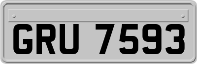 GRU7593