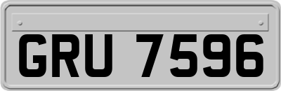 GRU7596