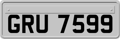 GRU7599