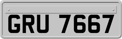 GRU7667