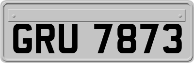 GRU7873