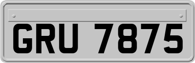 GRU7875