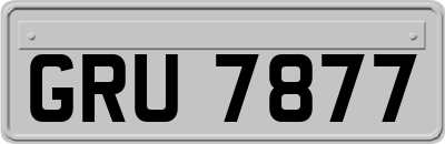 GRU7877
