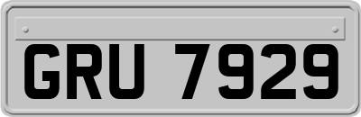 GRU7929