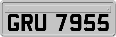 GRU7955