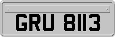 GRU8113
