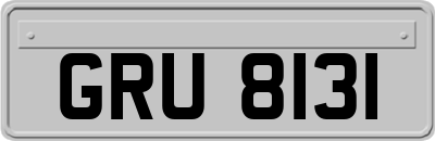 GRU8131