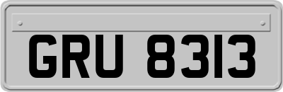 GRU8313