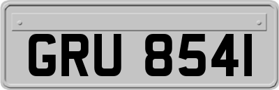 GRU8541