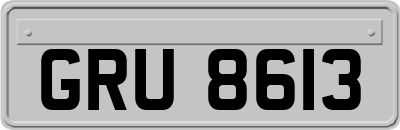 GRU8613