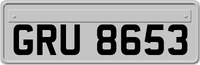 GRU8653