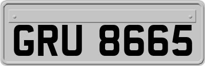 GRU8665