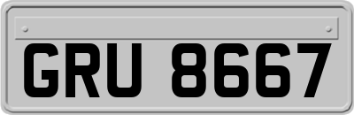 GRU8667