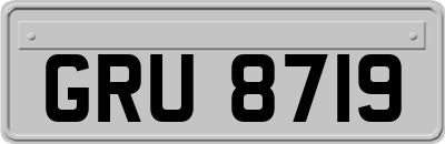 GRU8719