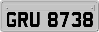 GRU8738
