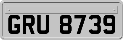 GRU8739