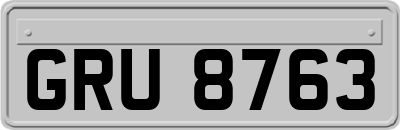 GRU8763