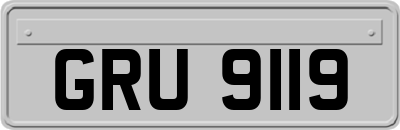 GRU9119