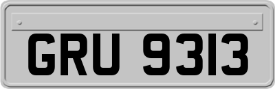 GRU9313