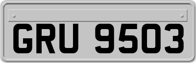 GRU9503